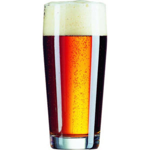 Willi Tumbler 16.0 Oz