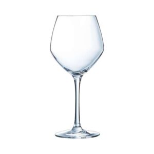 Cabernet Young Wine 16.0 Oz