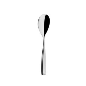 Elegant Dessert Spoon