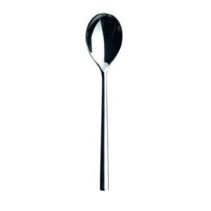 Living Mirror Dinner Spoon