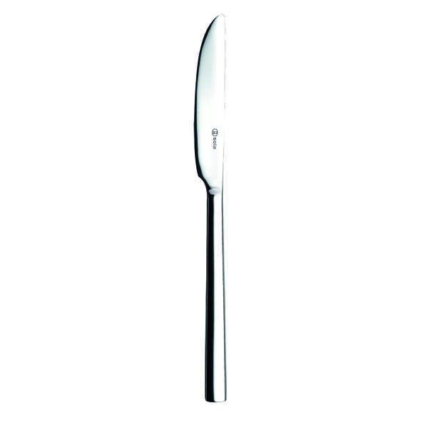 Living Mirror Dinner Knife