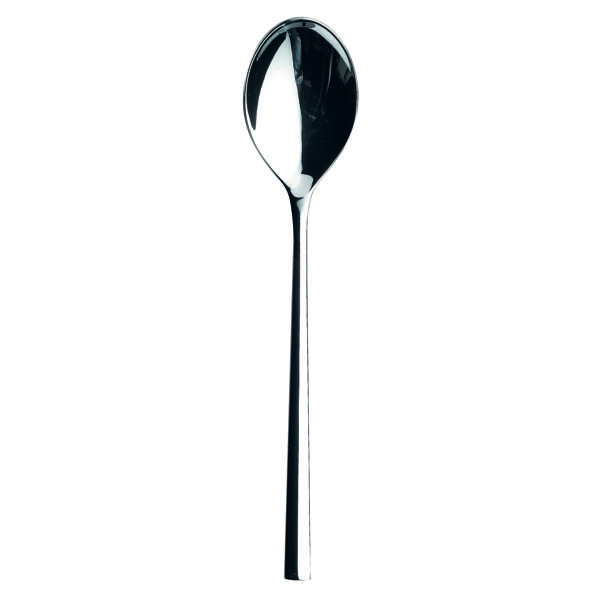 Living Mirror Dessert Spoon