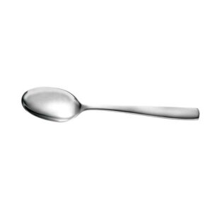 Universal Serving Accessories Serving Spoon