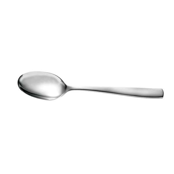 Universal Serving Accessories Serving Spoon