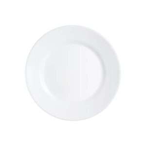 Intensity White Rim Plate (D:10.75'')
